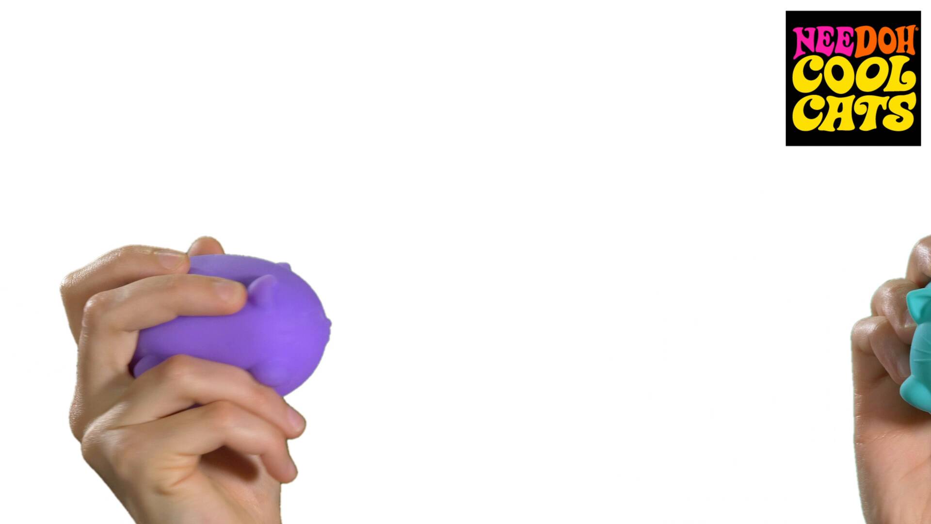 Cool Cats Sensory Squish W9