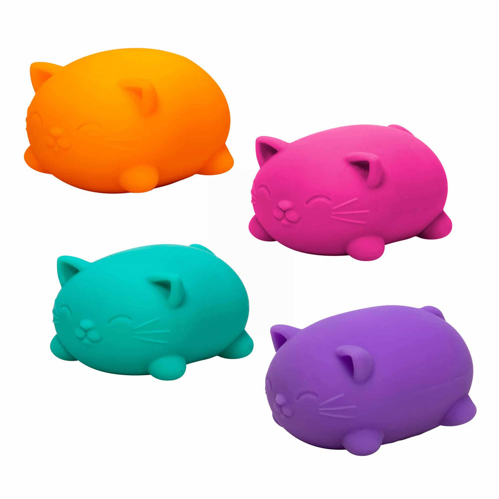 Cool Cats Sensory Squish W9