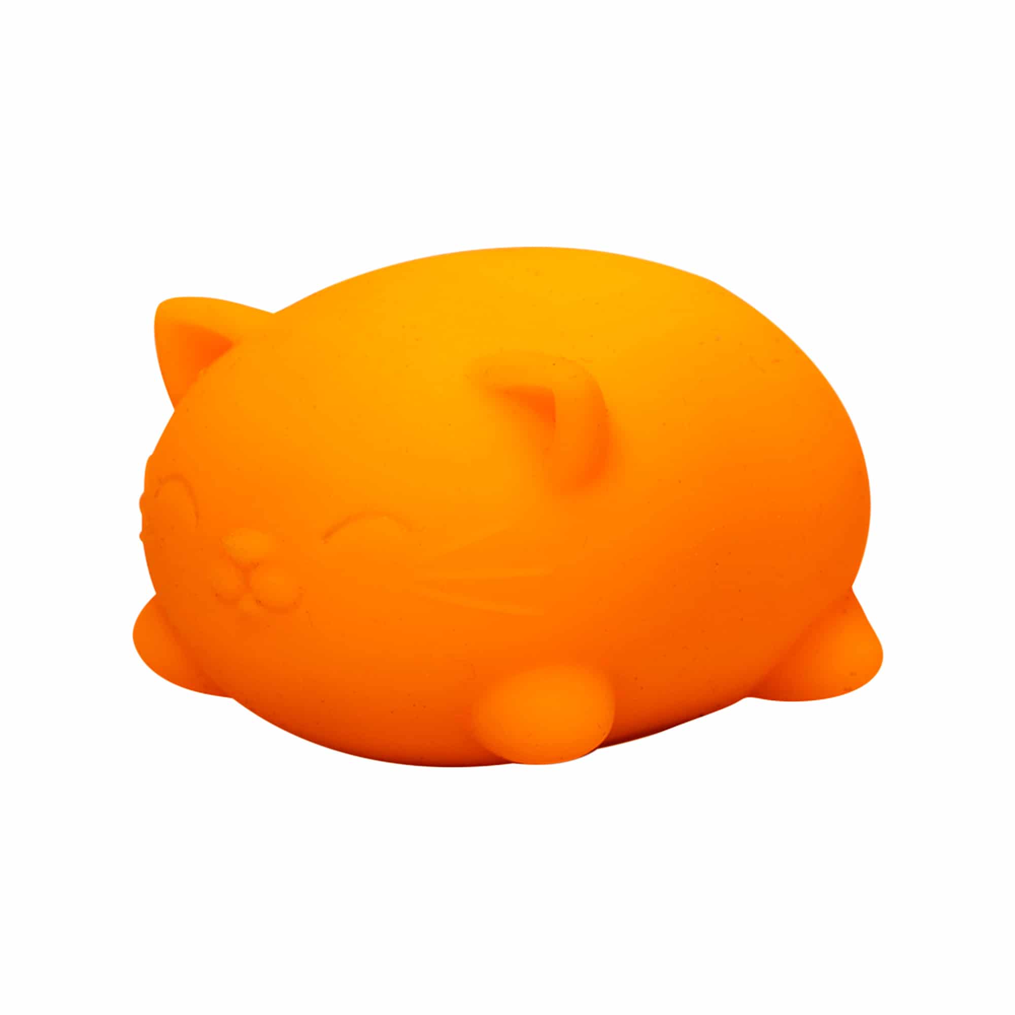 Cool Cats Sensory Squish W9
