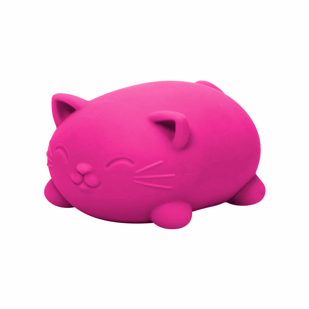 Cool Cats Sensory Squish W9