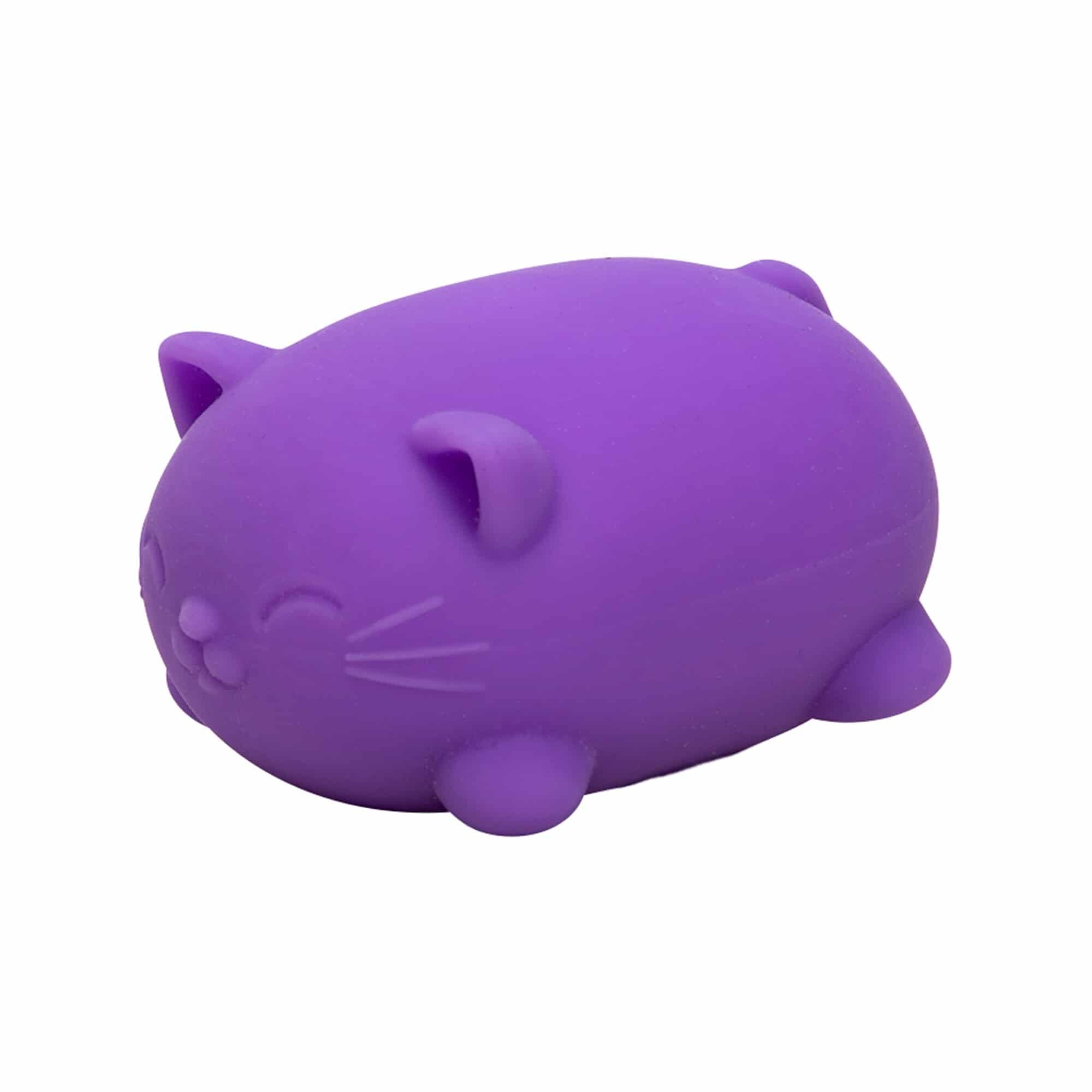 Cool Cats Sensory Squish W9