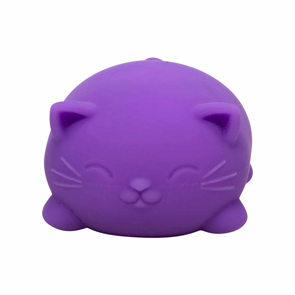 Cool Cats Sensory Squish W9