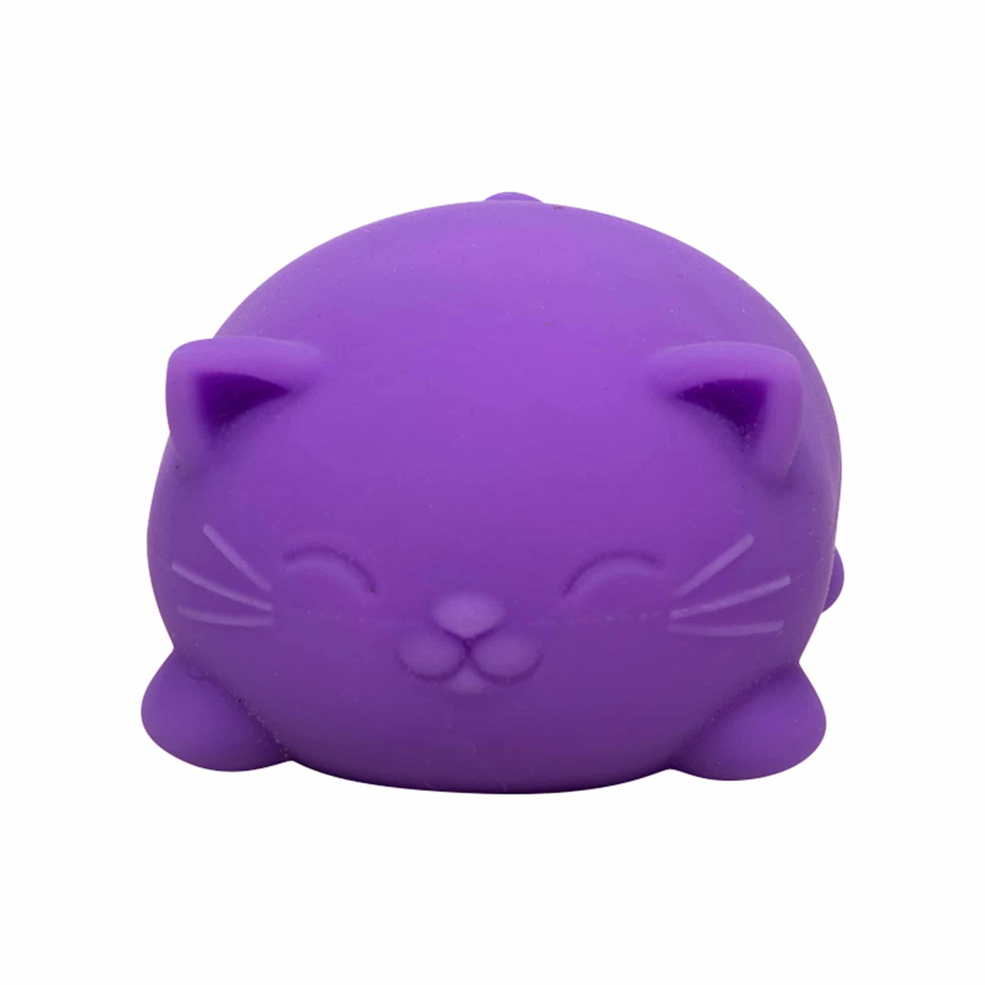 Cool Cats Sensory Squish W9