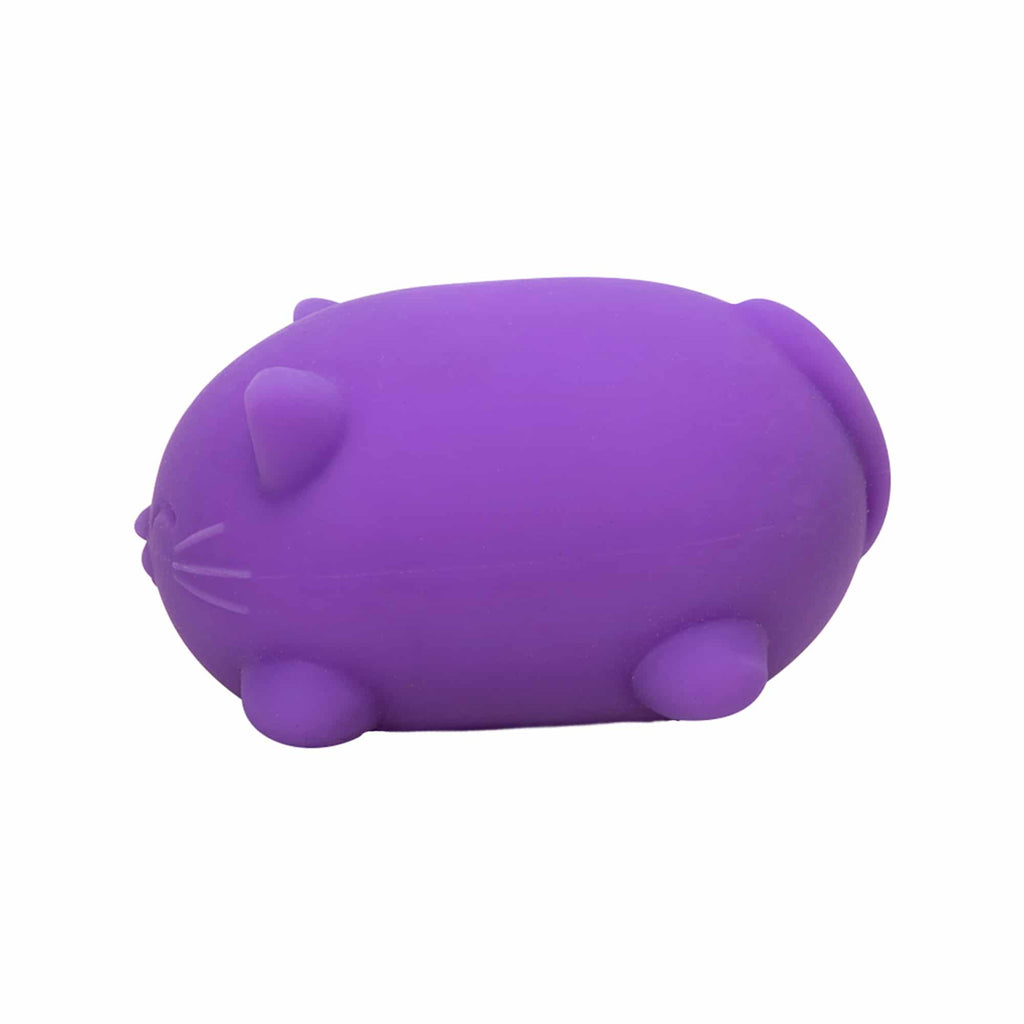 Cool Cats Sensory Squish W9