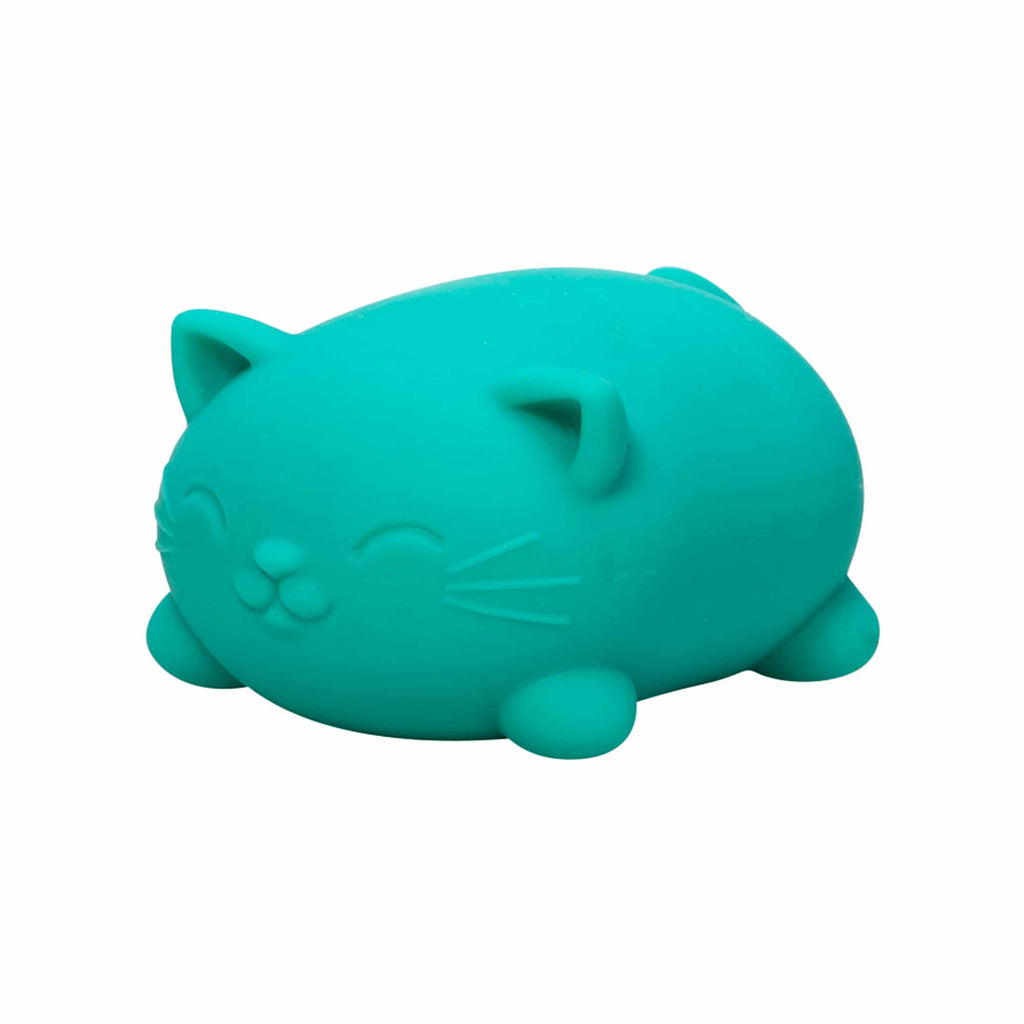 Cool Cats Sensory Squish W9