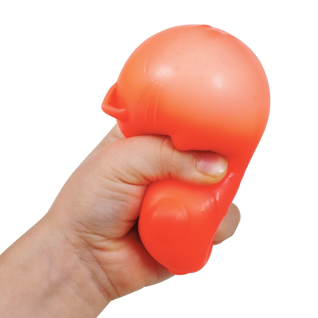 Cool Cats Sensory Squish W9