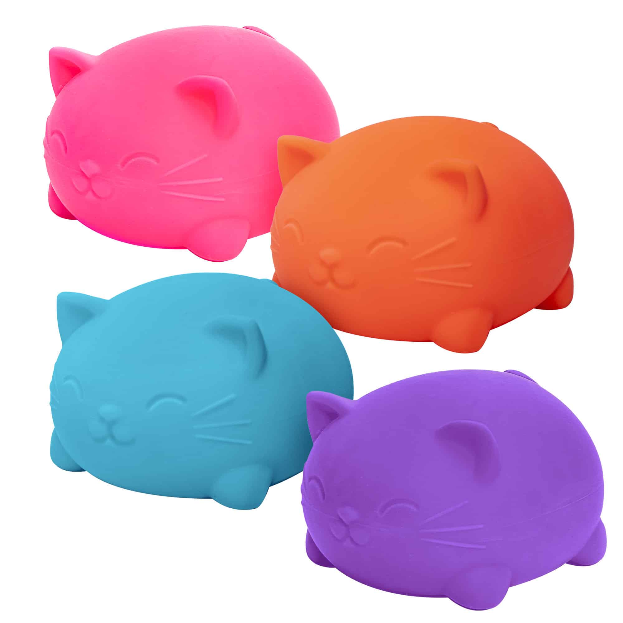 Super Cool Cats Y6