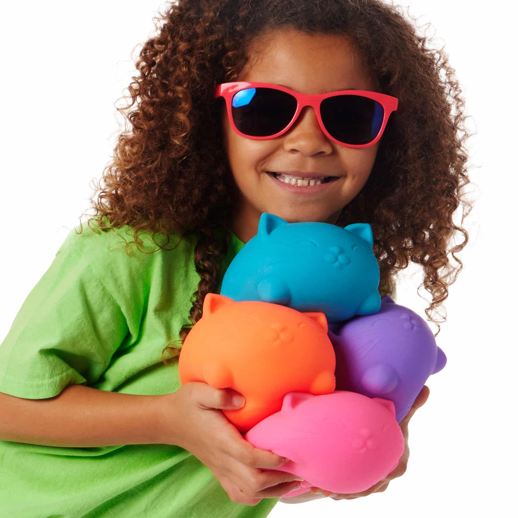 Super Cool Cats Y6