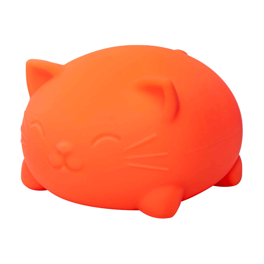 Super Cool Cats Y6