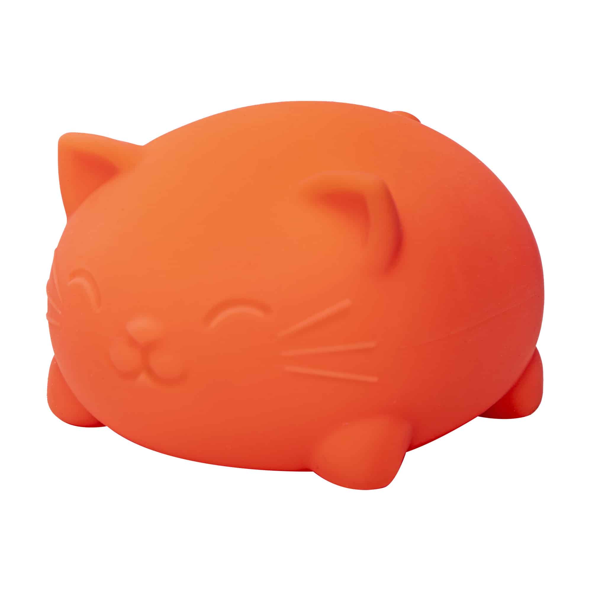 Super Cool Cats Y6
