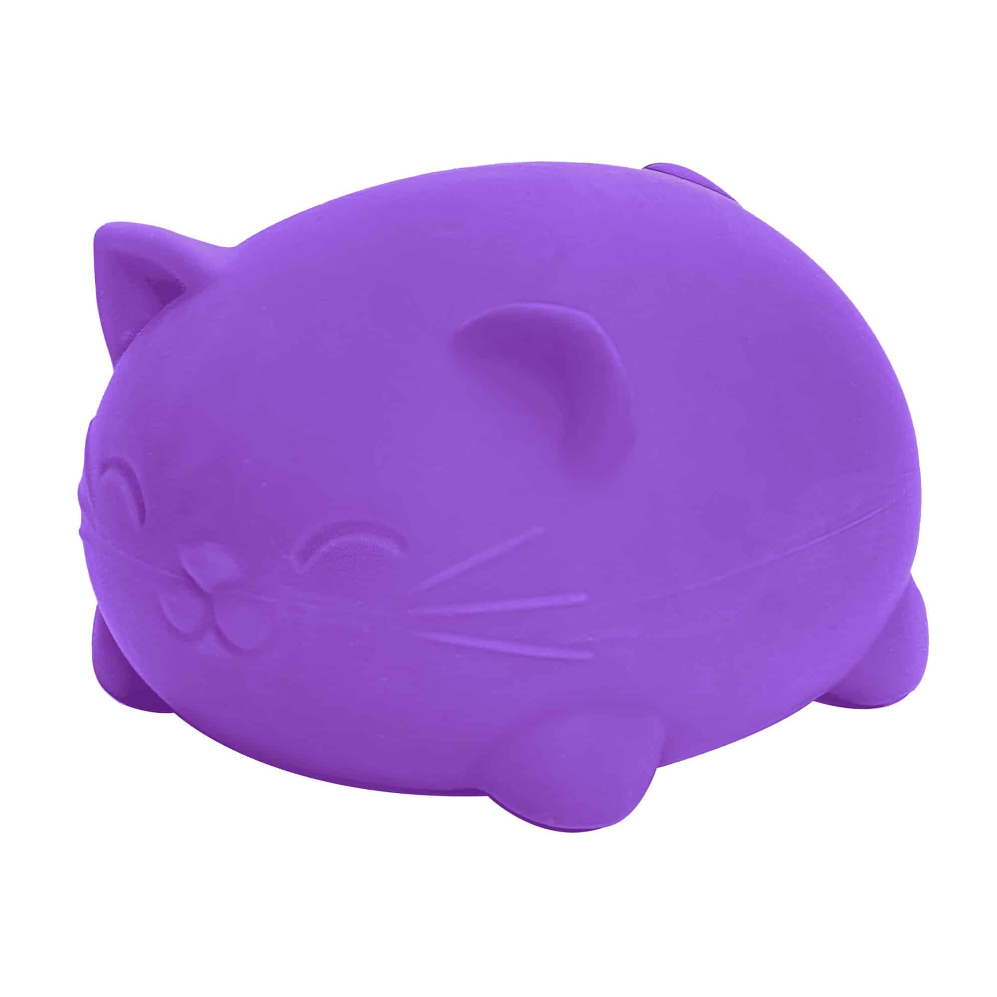 Super Cool Cats Y6