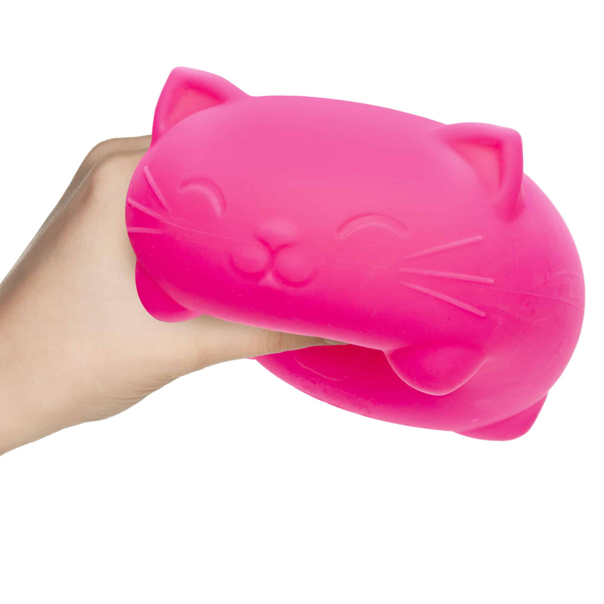 Super Cool Cats Y6