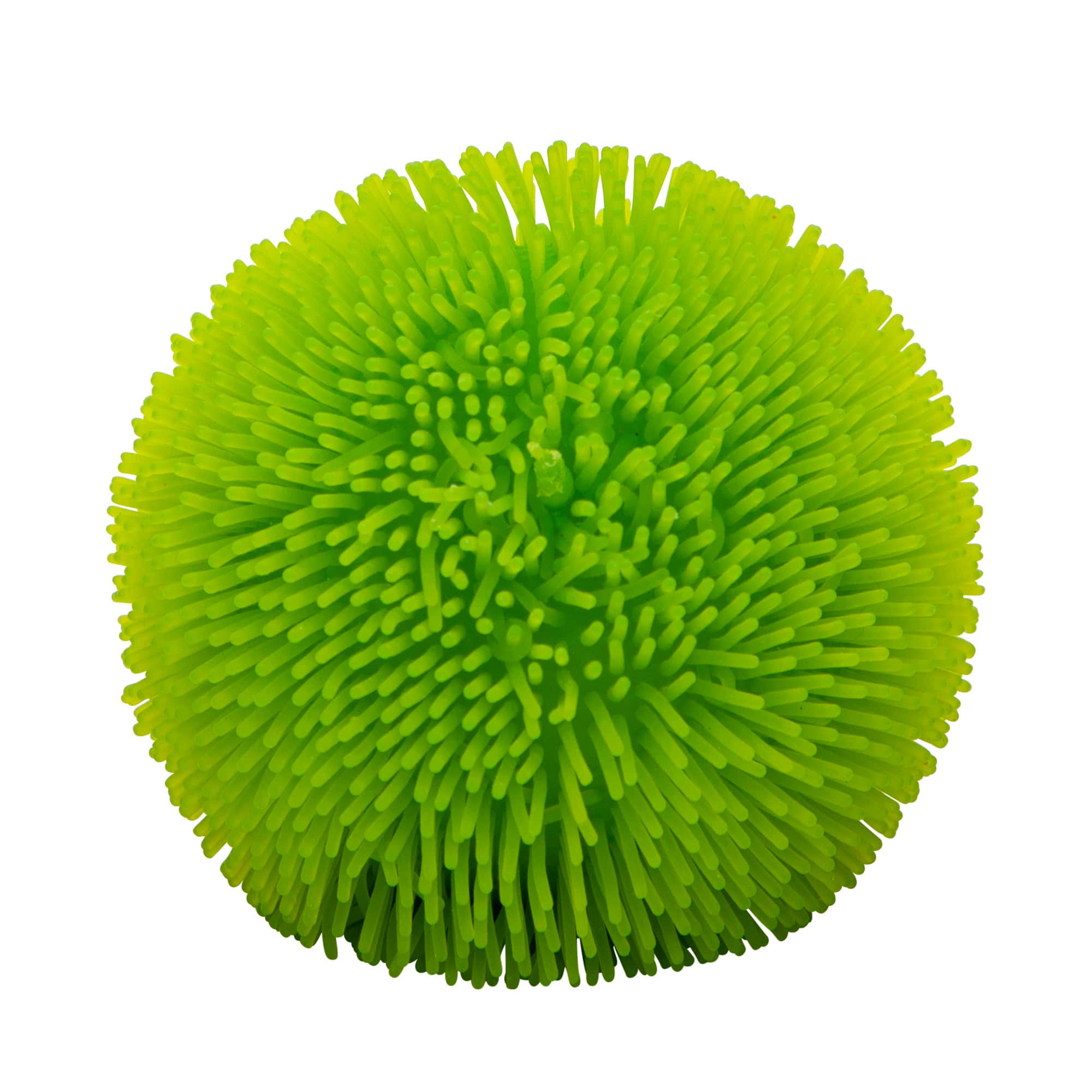 Shaggy Sensory Squish O1